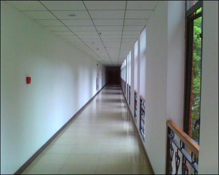 电影免费观看 免费网络钓鱼的电影高发地