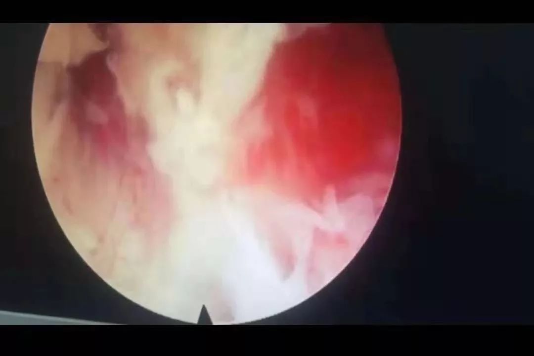 月计本子 可以提供更多信息哦