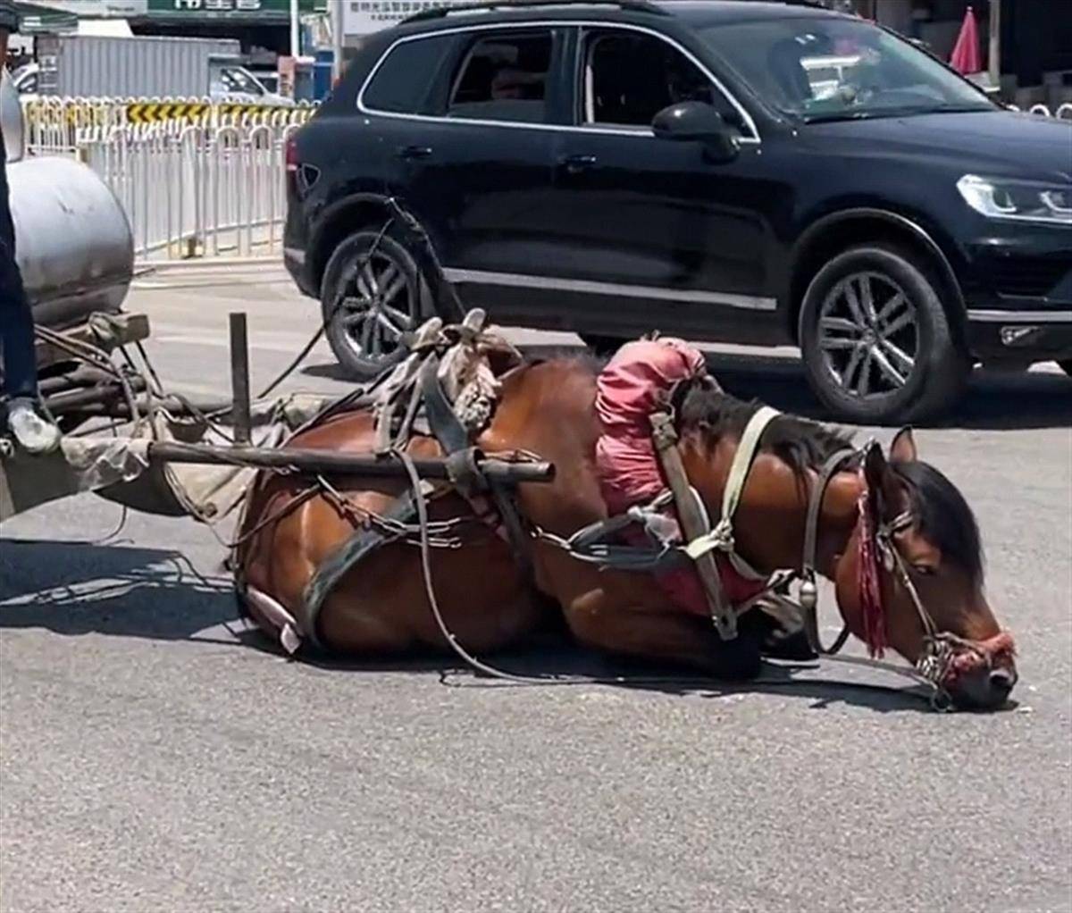 露脸国产精品自产在线播 自产在线播这一模式