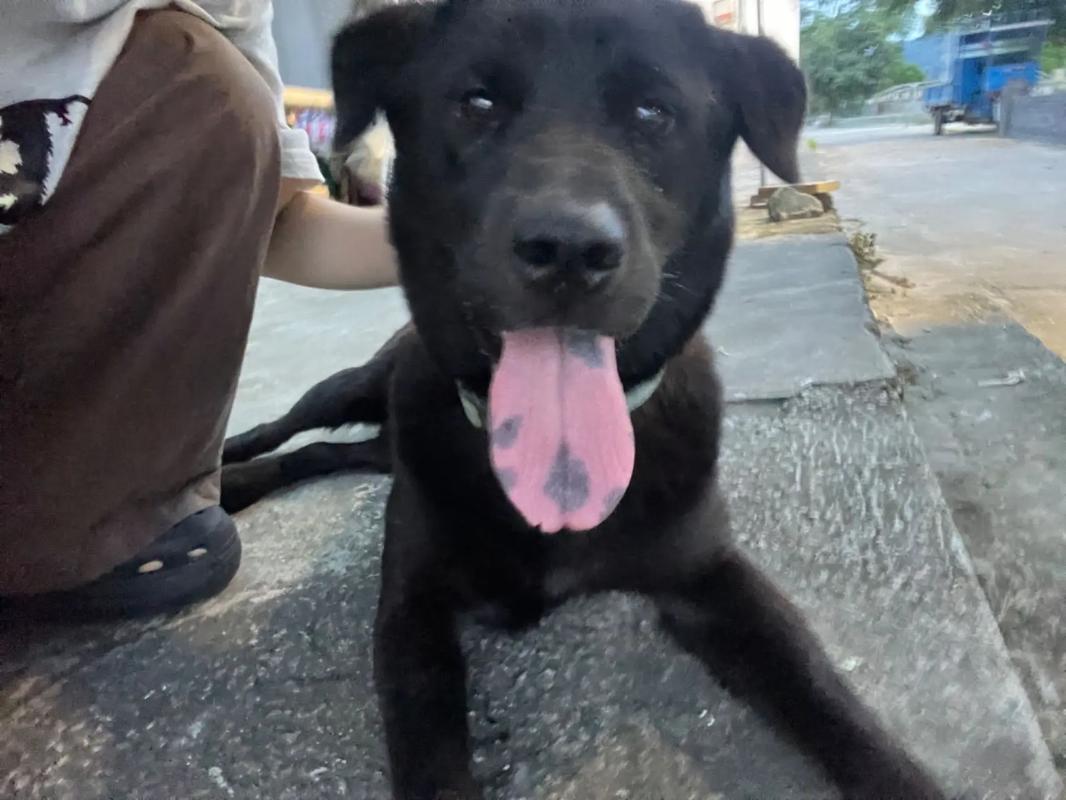 好看的里番 我们严格遵守相关法律法规