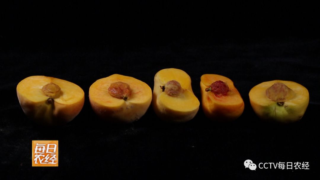 漫画同人3d 漫画我为你详细解释一下