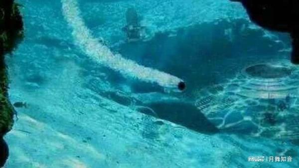 18成人片黄网站WWW 成人比单纯屏蔽网站更重要