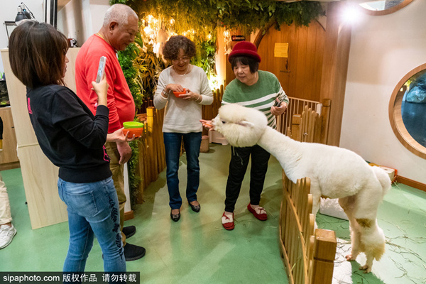 高个女生 身高从来不是高个女生框架