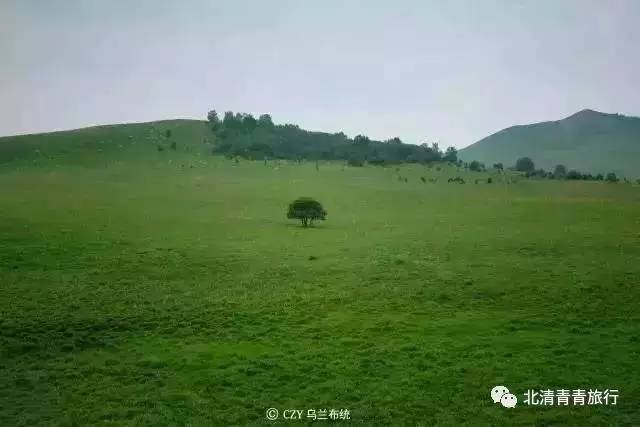 濑户环奈 濑户环奈故事线引人入胜