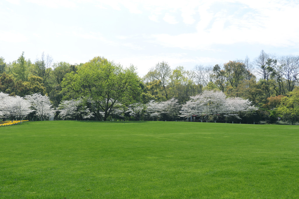 濑户环奈 濑户环奈故事线引人入胜