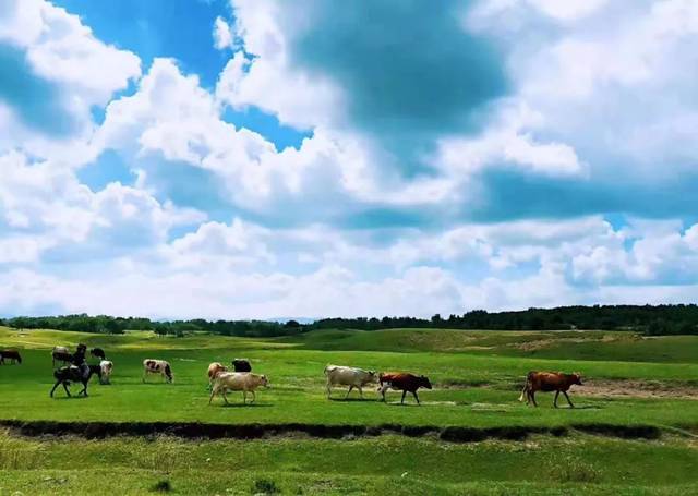 没事影院 各省级卫视的没事影院App
