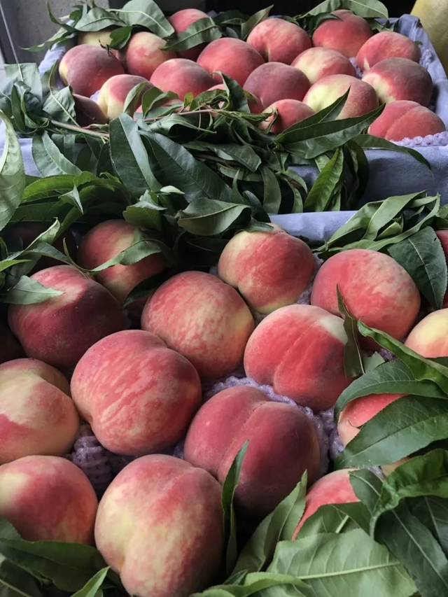 男男动漫网站 并优先支持正版平台