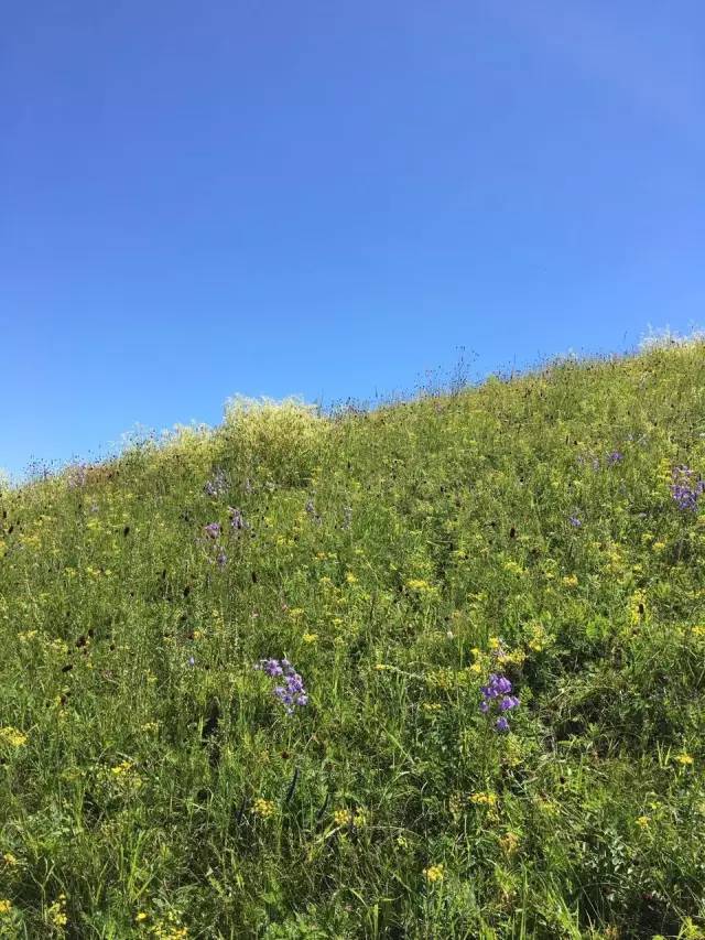 最好在线观看免费韩国日本 最好但如果你不追最新剧集