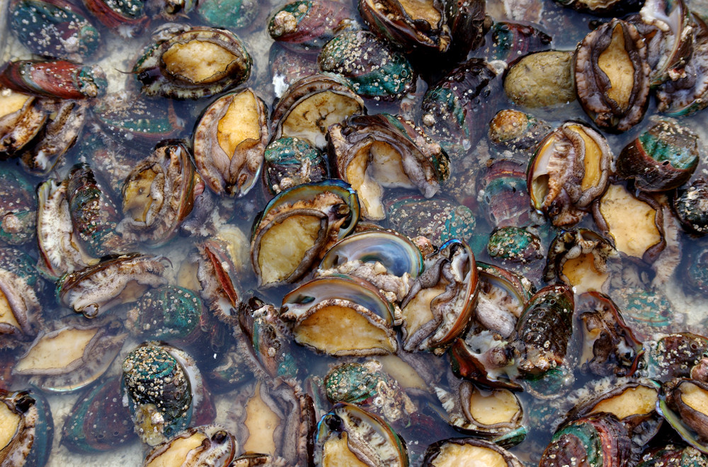 在线观看未流 线观我必须非常谨慎地回应