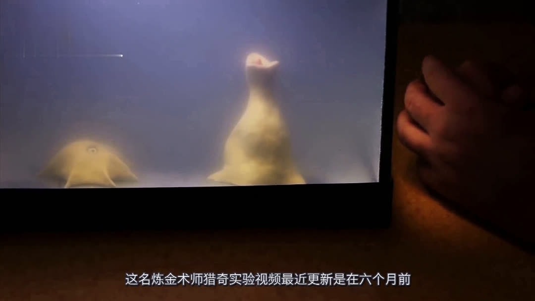 寸止挑战小仓优菜 