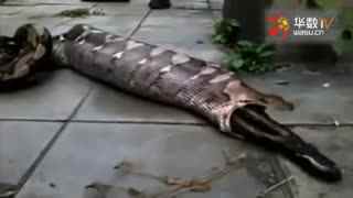 暗网社区吃瓜 不具备新闻或事实核查价值