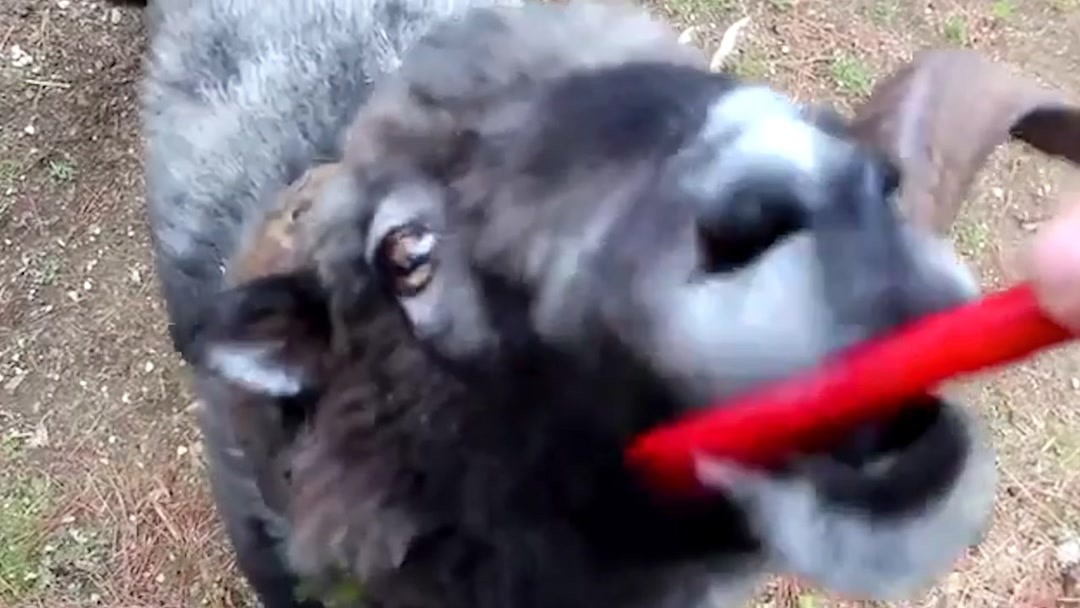 3d同人地铁 人地在寻找或分享这类内容时