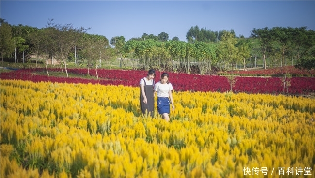 最新上市里番在线看 共同维护良好的最新网络环境