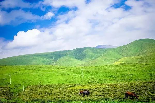 免费费很色视频大片