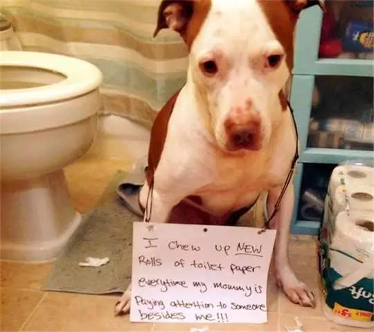 未成年许可 未成关于“未成年许可”