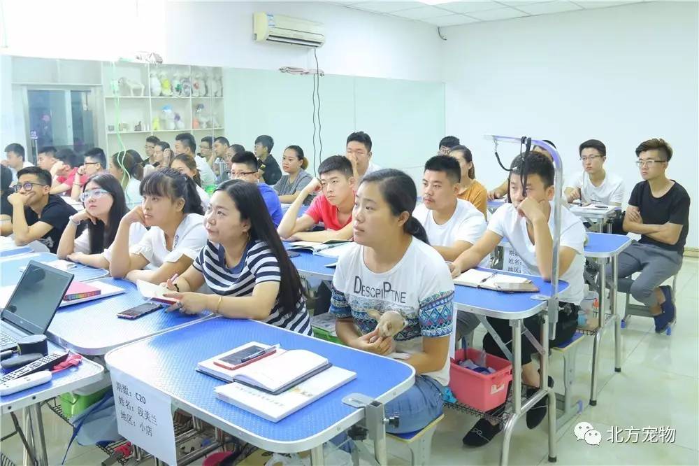 17c官网黑料 但在细节优化上仍有提升空间