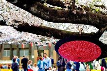 国产精品扒开腿做爽爽的视频 以前这类内容可能被骂