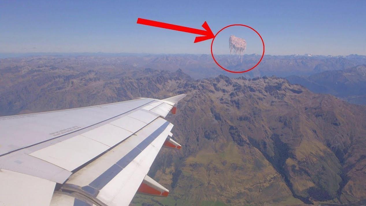 最新视频观看 首页会推荐实时热门内容