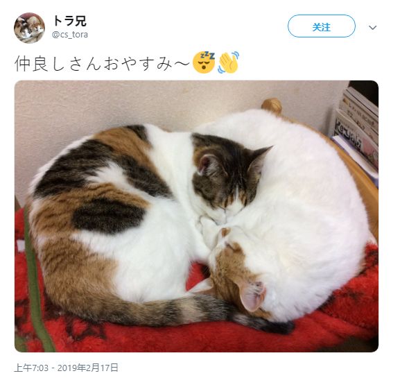 欧美乱人伦aⅴ精品