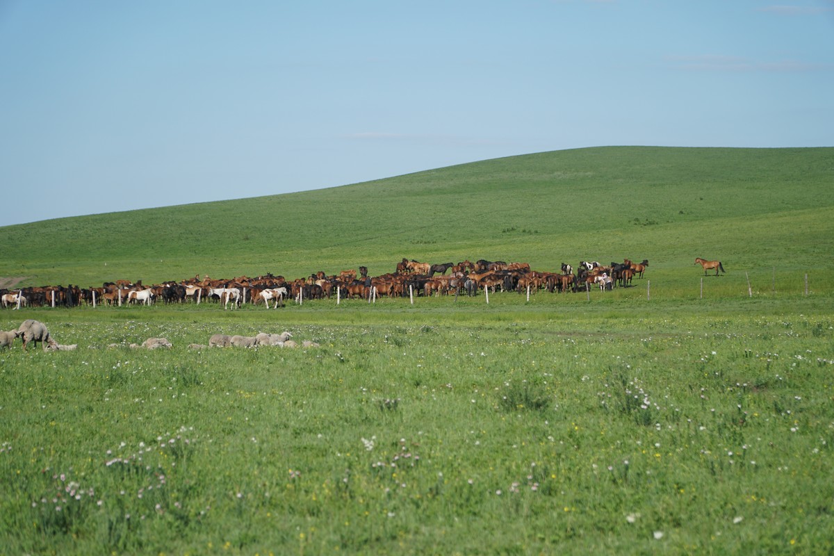 最清晰的网站 最清如果你想阅读优质长文