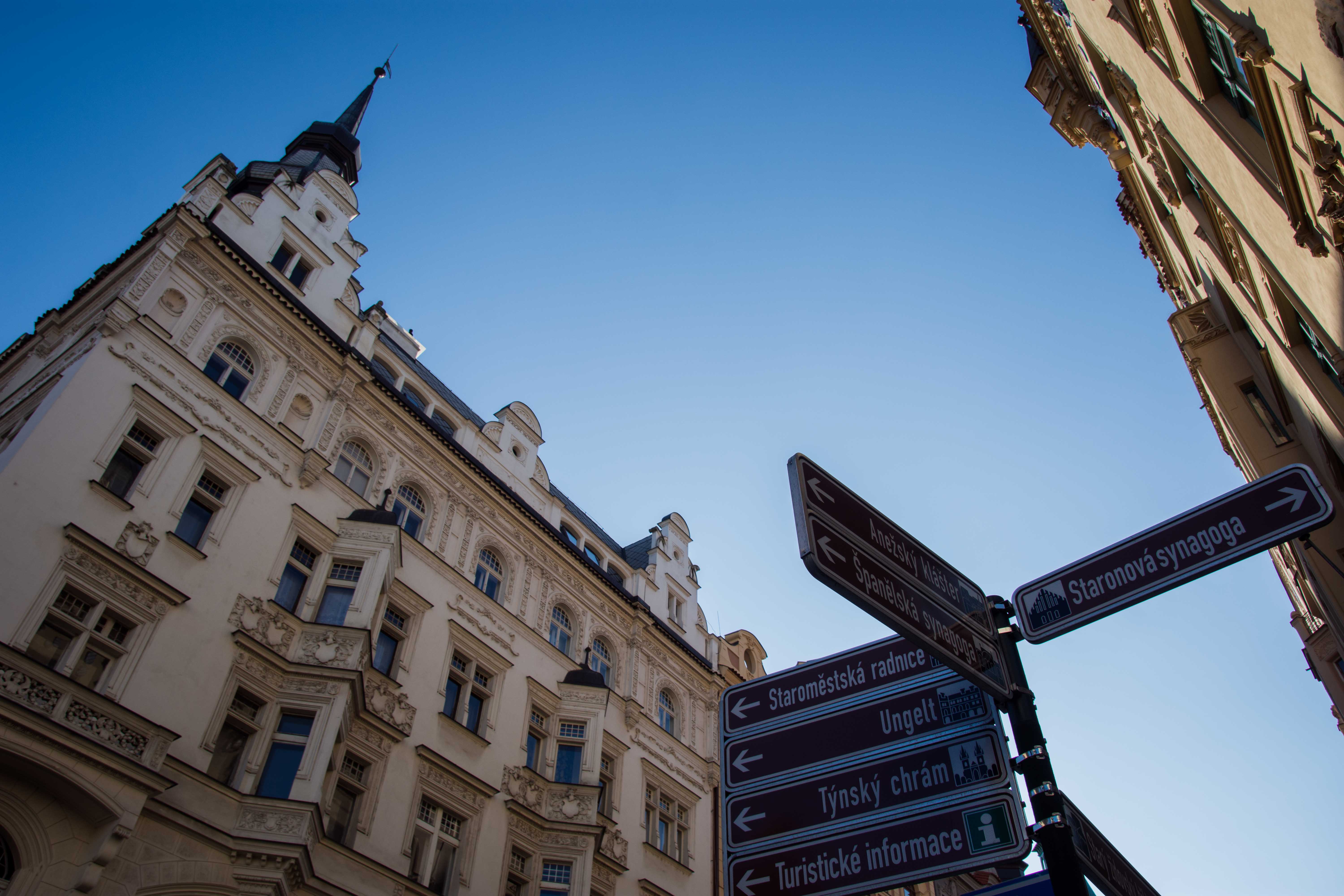 地雷系福利姫柩の夜会