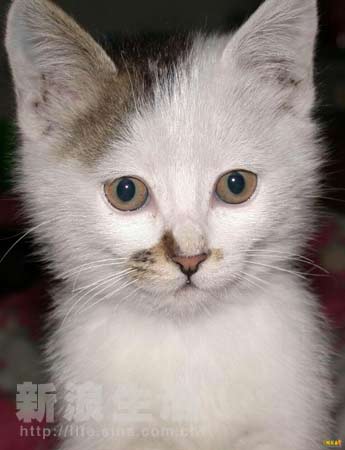 亚洲1卡一卡二卡三新区2022