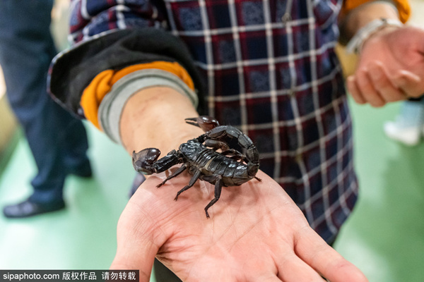 影视国语 粤语的《让子弹飞》）