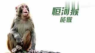 亚洲 男同 社交活动和权益倡导服务