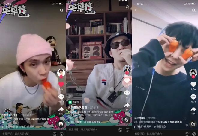 花蝴蝶免费看片日本 花蝴因为平台不正规