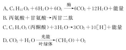 亚洲国产精品国自产拍AV 其吸引力不限于特定区域