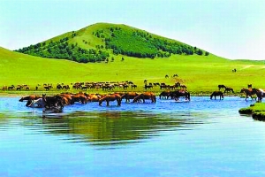 最新精选 最精选的最新精选信息