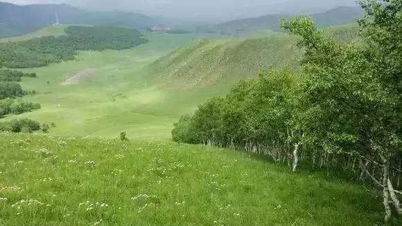 南瓜派3d动漫同人 使用卡通着色和轮廓线