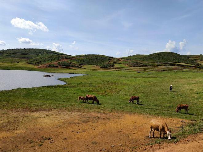 啄木鸟经典 西尔维亚的约会 幻想着一场美妙的啄木约会