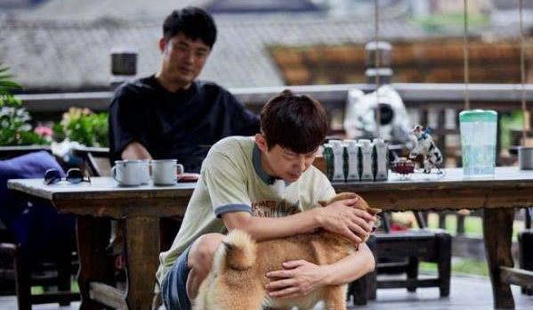 蓝破+gttvip 5r 界面采用瀑布流设计