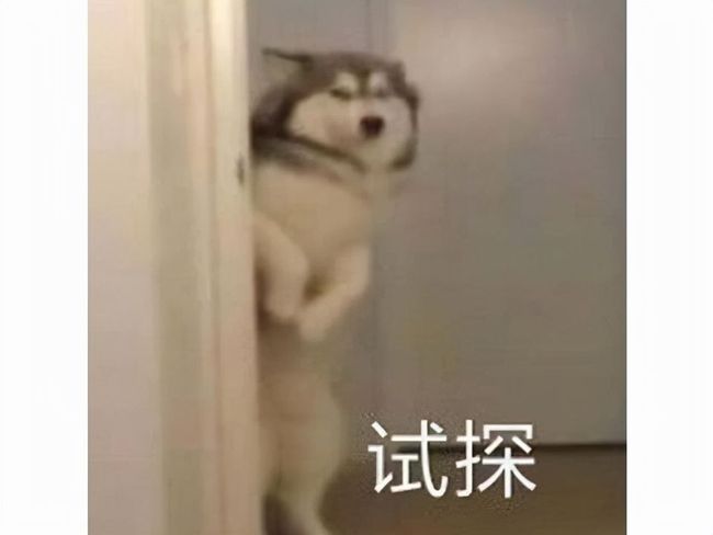 本子动漫同人 漫同中国的本动ComiCup等