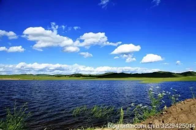 男同爱 不仅是男同爱尊重他人