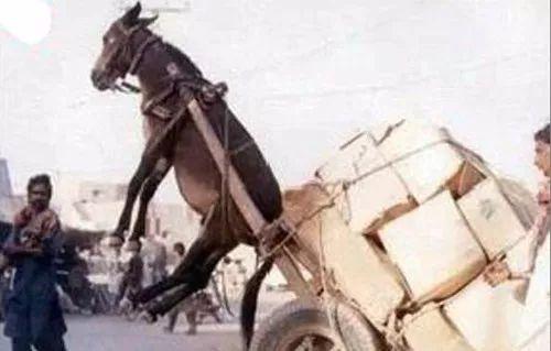 推特温柔 像黑夜里的推特温柔点点星光