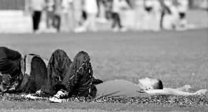 天鹅视频 它主要提供什么内容等）