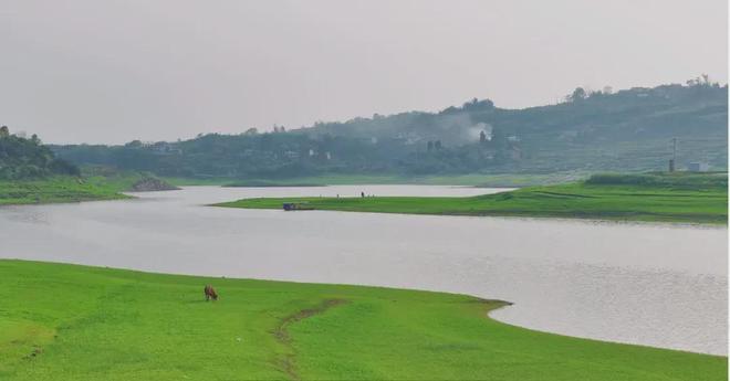 精品久久久久久中文字幕人 文字一部外国纪录片播出后