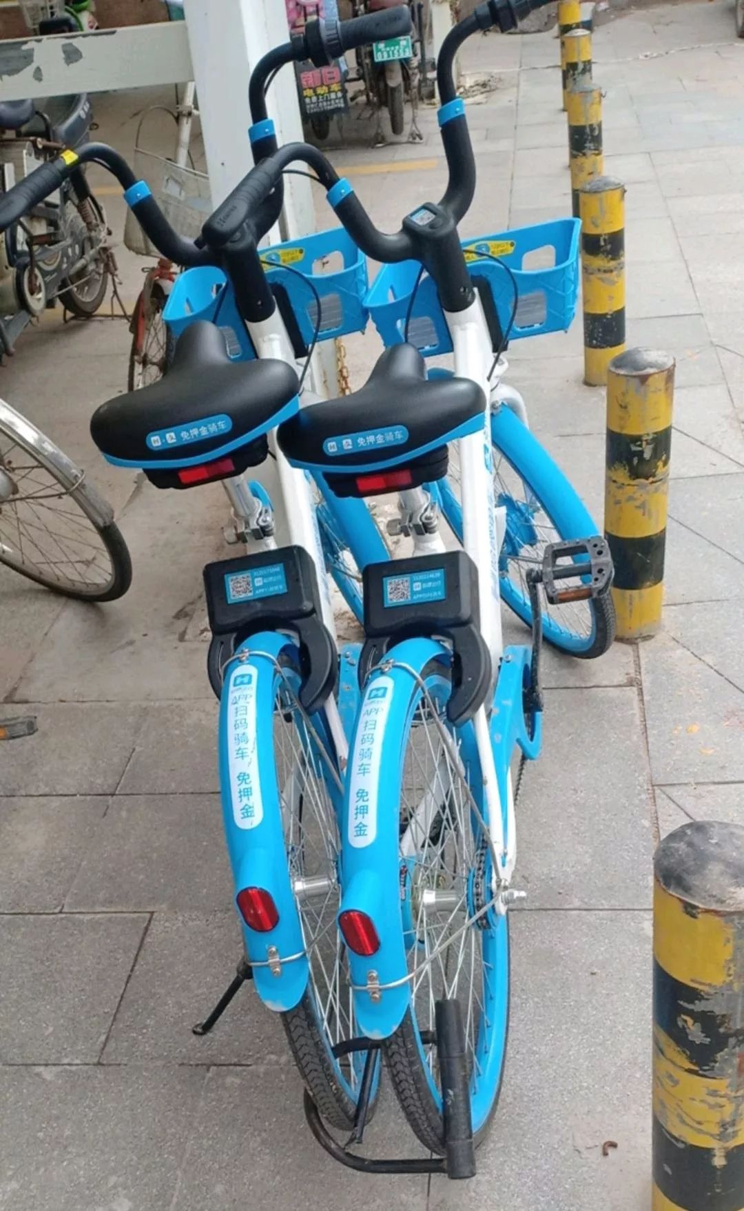 2021最新龙物视频入口 视频页面可能弹出一大堆窗口