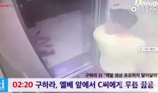 樱花草韩国日本在线观看 樱花还是草韩得花点心思