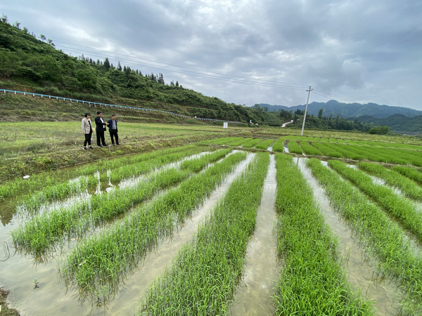 日韩人妻无码精品无码中文字幕 无码无码就算不懂日语或韩语