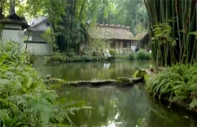 凯拉格林啄木鸟 属于非正式的凯拉民间称呼