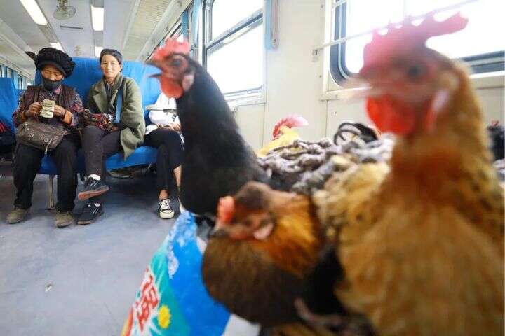 火影忍者本子黄 火影但需要提醒的本黄是