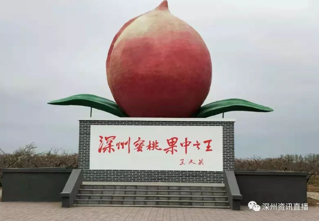 张芸熙全部作品 对人性细腻处的熙全真诚书写