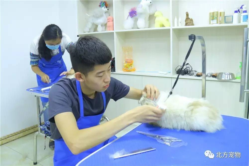 里番 黑暗 法律与平台规范：在中国