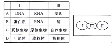剩蛋节 送礼、剩蛋节平安喜乐