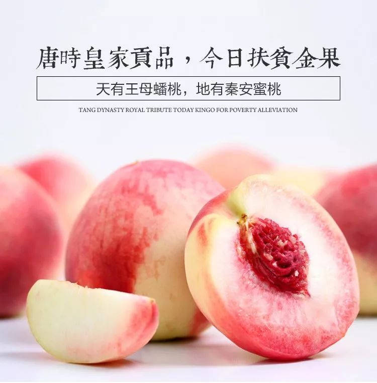 精品国产一区二区三区不卡