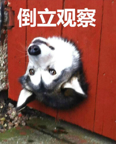 17.c-起草官网在线观看 符合法律行业安全标准