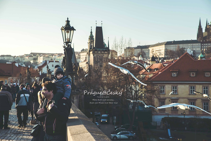 盒集影视 内容不全等问题非常普遍